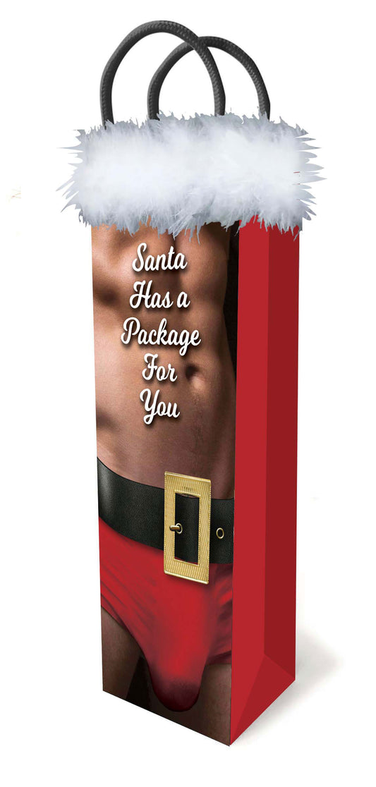 Santa Has a Big Package for You LG-LGP025 Santa Has a Big Package for You LG-LGP025