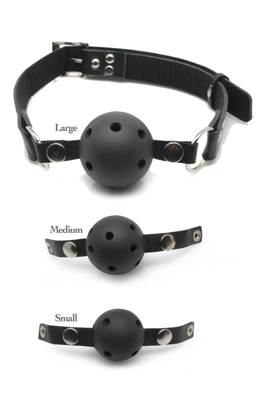 Fetish Fantasy Series Ball Gag Training System PD3841-00 Fetish Fantasy Series Ball Gag Training System PD3841-00