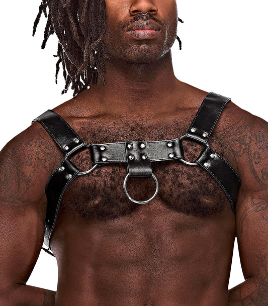 Aries Leather Harness - One Size - Black MP-590266BK1S Aries Leather Harness - One Size - Black MP-590266BK1S