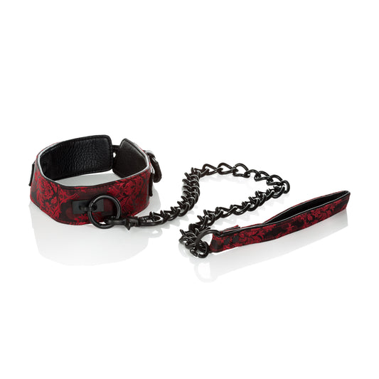 Scandal Collar With Leash SE2712503 Scandal Collar With Leash SE2712503